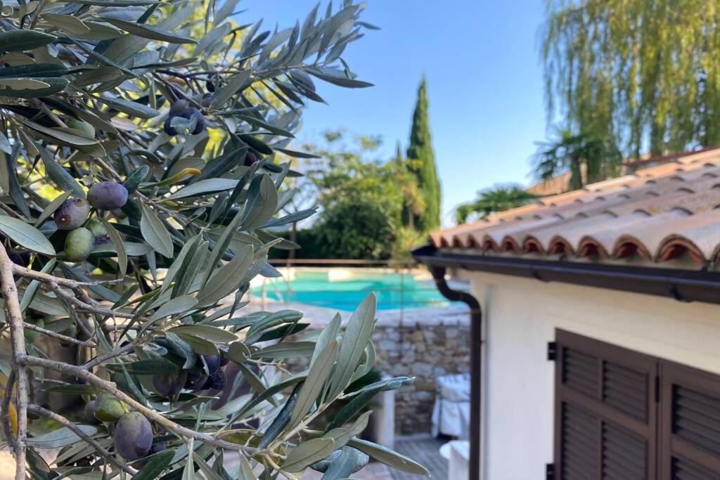Relais San Sebastiano Βίλα Pietra Ligure Εξωτερικό φωτογραφία